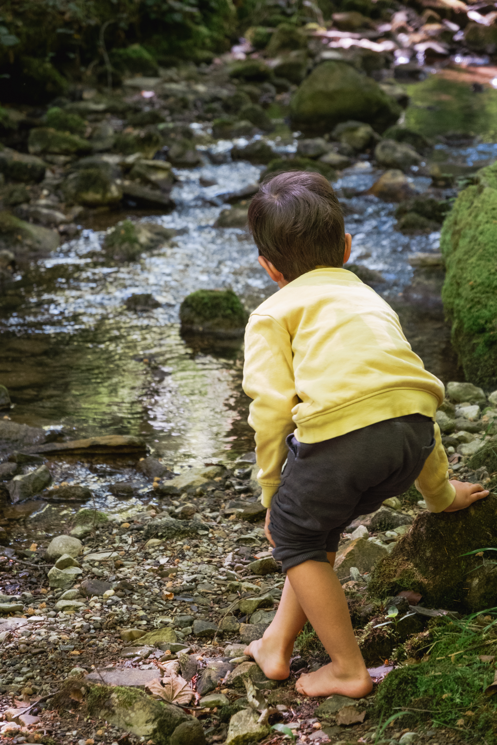Kinder in der Waldferienwochen
