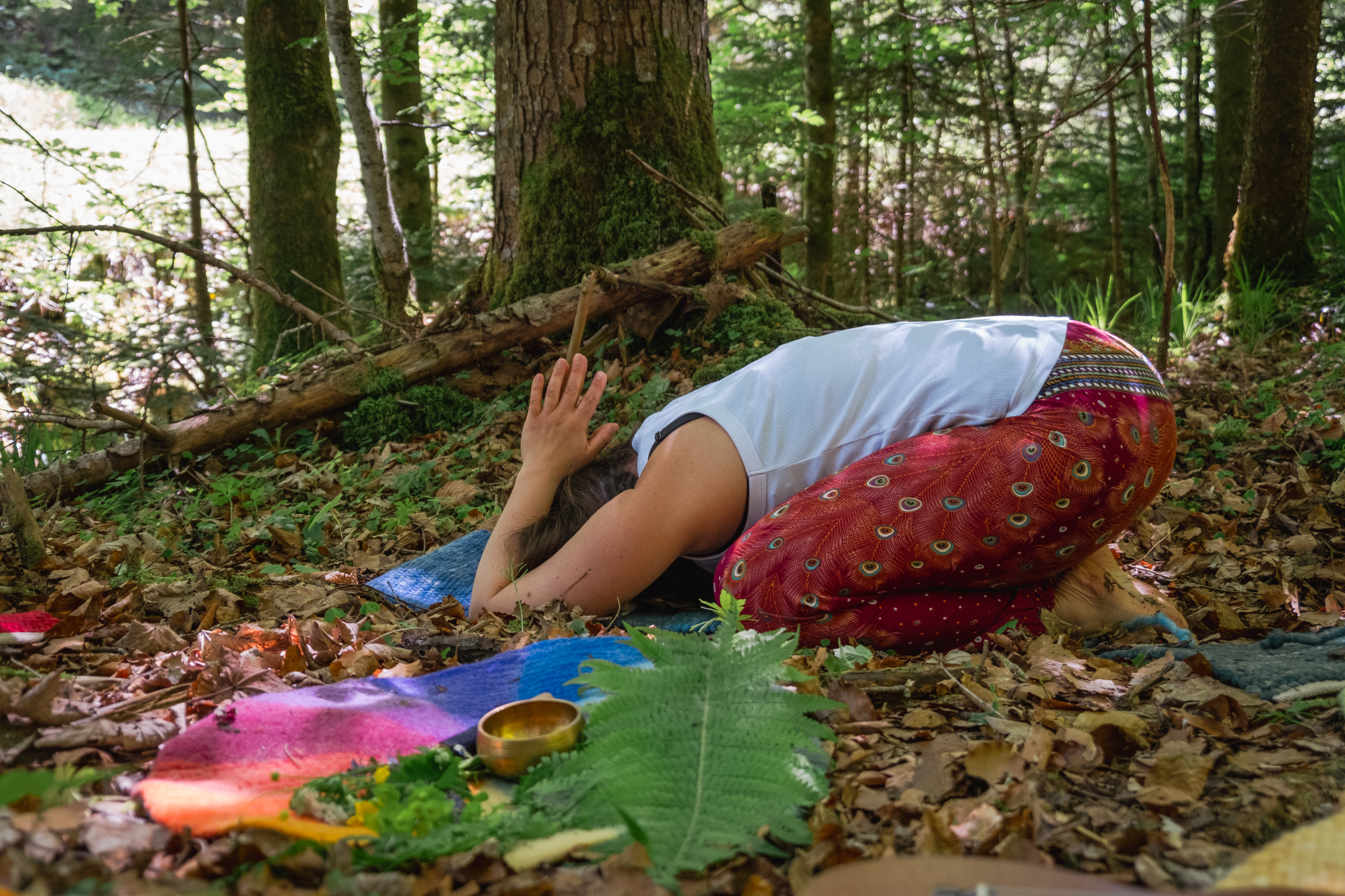 Wald-Yoga im Königswäldchen